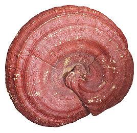 《绝地求生》宣布停止支持win7、8、8.1系统 2024年起生效